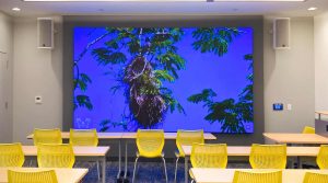 LED video wall in corporate boardroom presentation